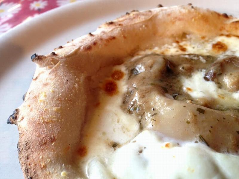 12494899_977726042319453_5066067270286367284_n