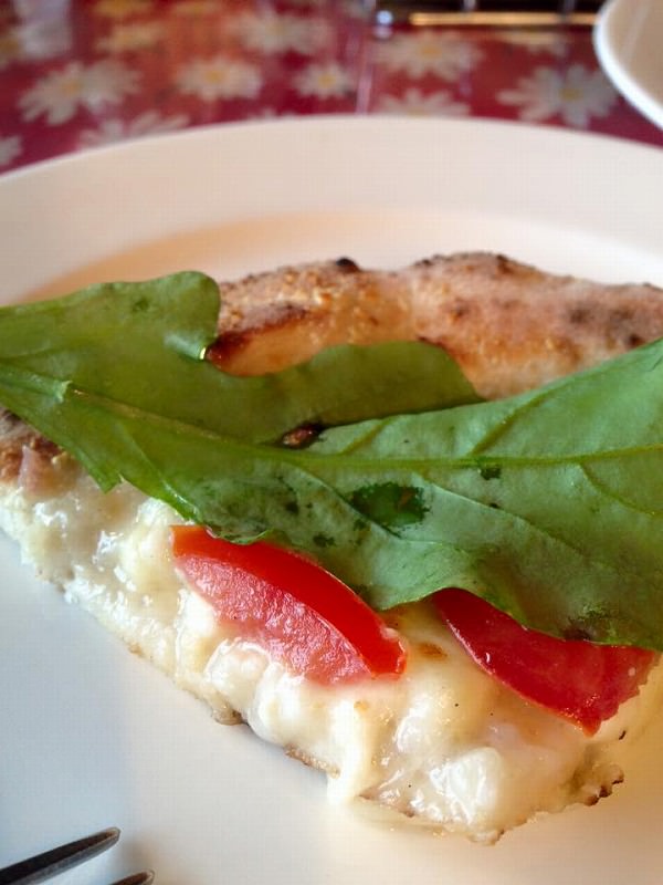 12508829_977726025652788_5490222702883557156_n