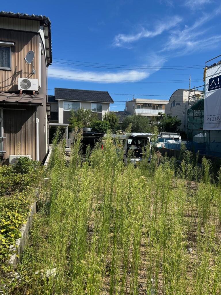 草刈りをします