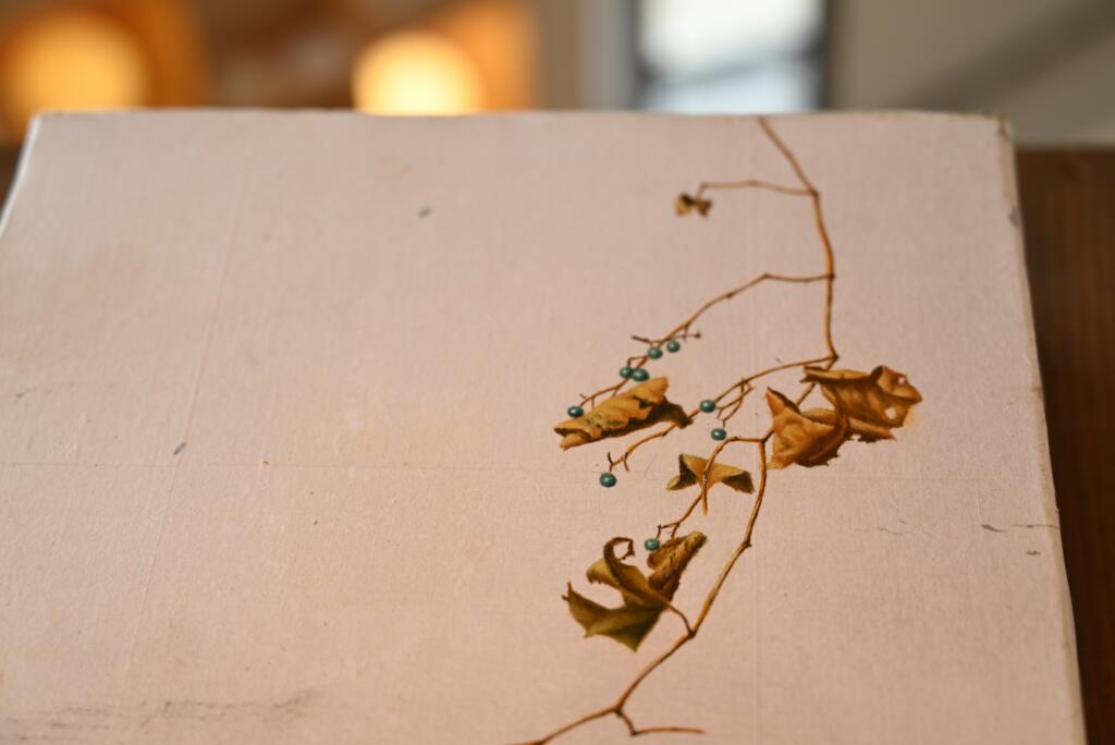 élan vital 前壽則展