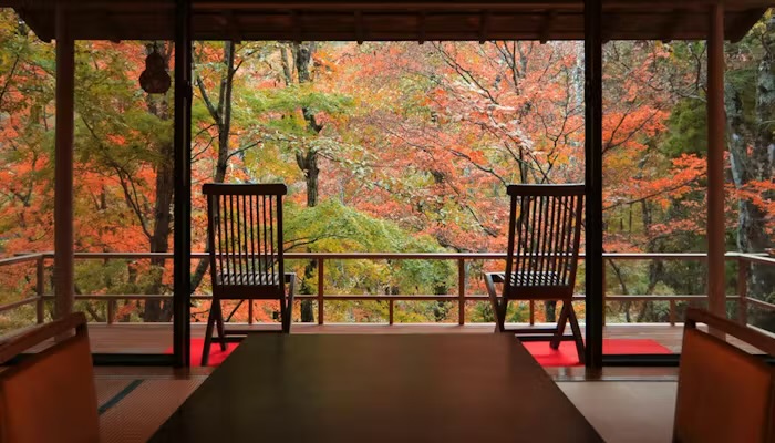 今なら、紅葉。眺望を楽しみ食事をしています。