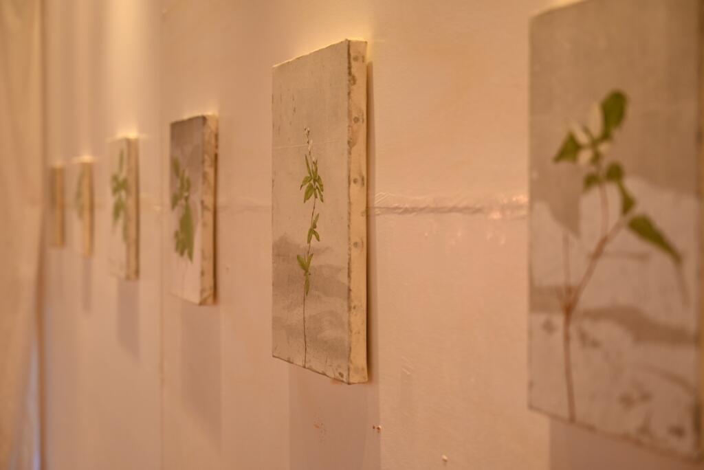 日常の中にある「美」